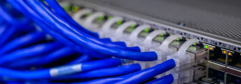 Cables de red azules conectados a los puertos de un switch
